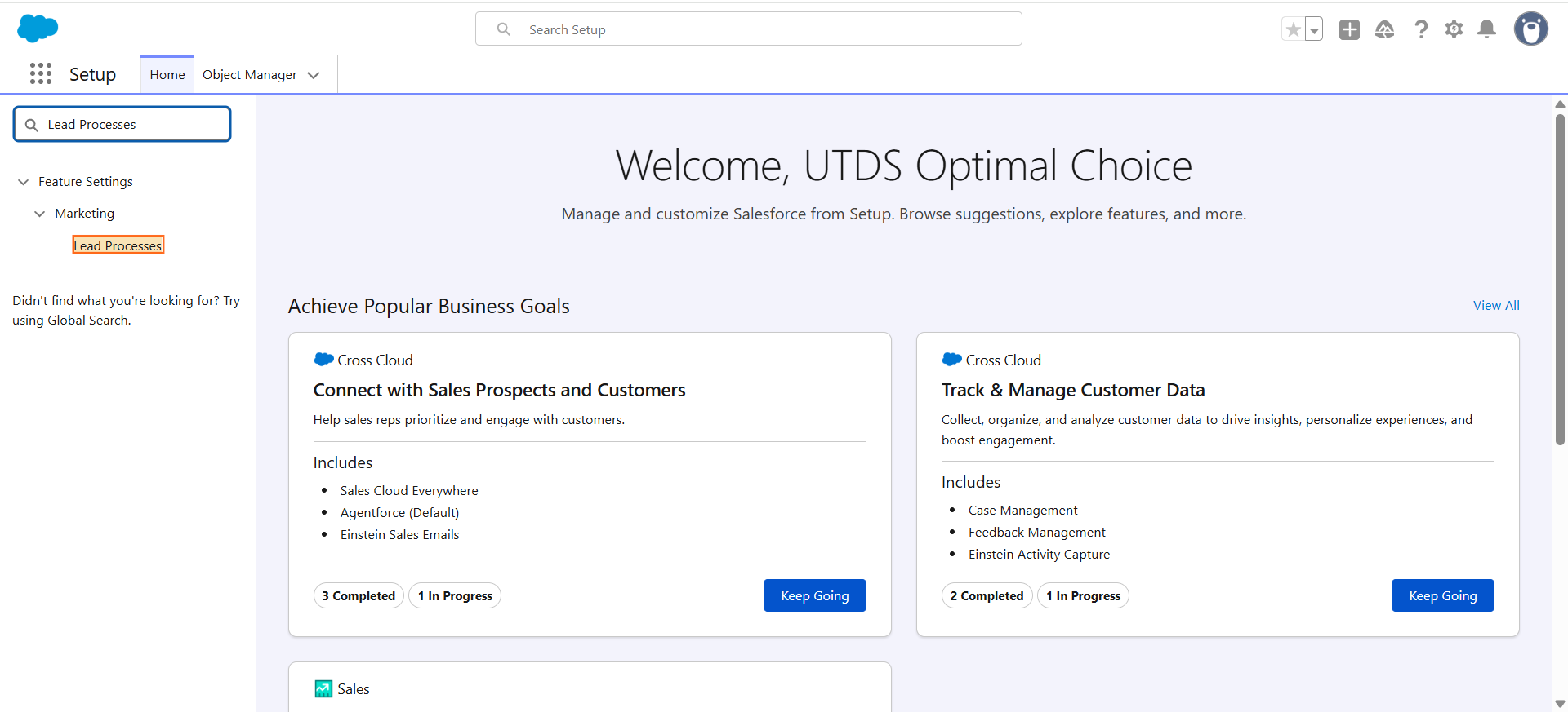 Step 1: Create a Custom Lead Process (If Needed)