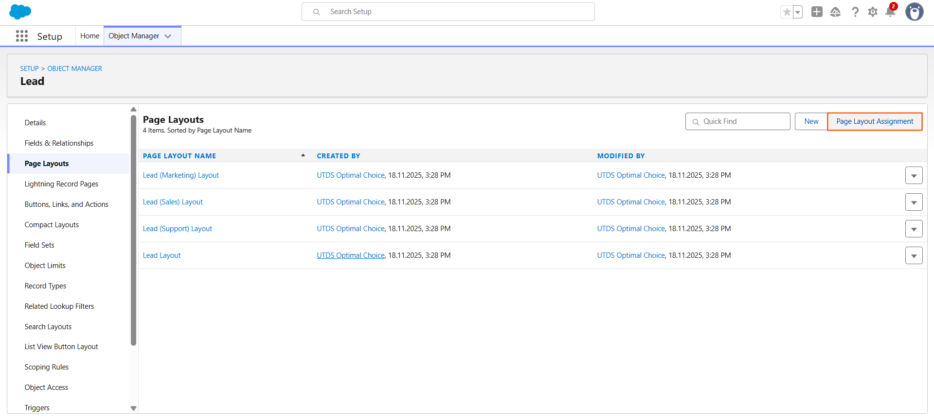 Step 3: Assign the Layout to Profiles and Record Types