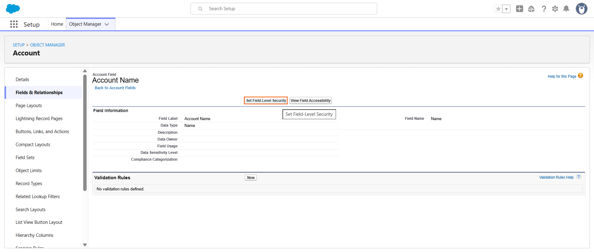 Step 1: Adjusting Field-Level Security (FLS)
