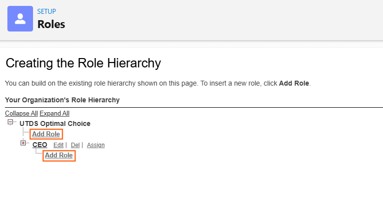 How do I set up role hierarchy correctly? | Salesforce | Step 2