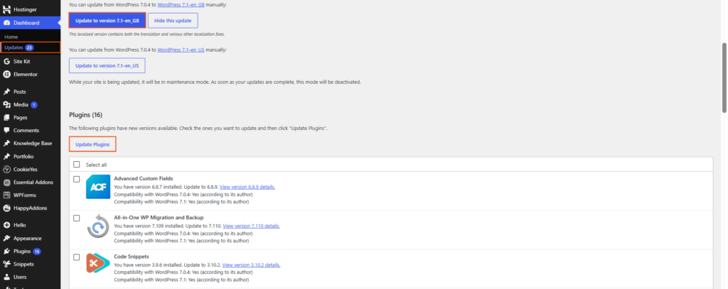 How do I update WordPress plugins and themes?